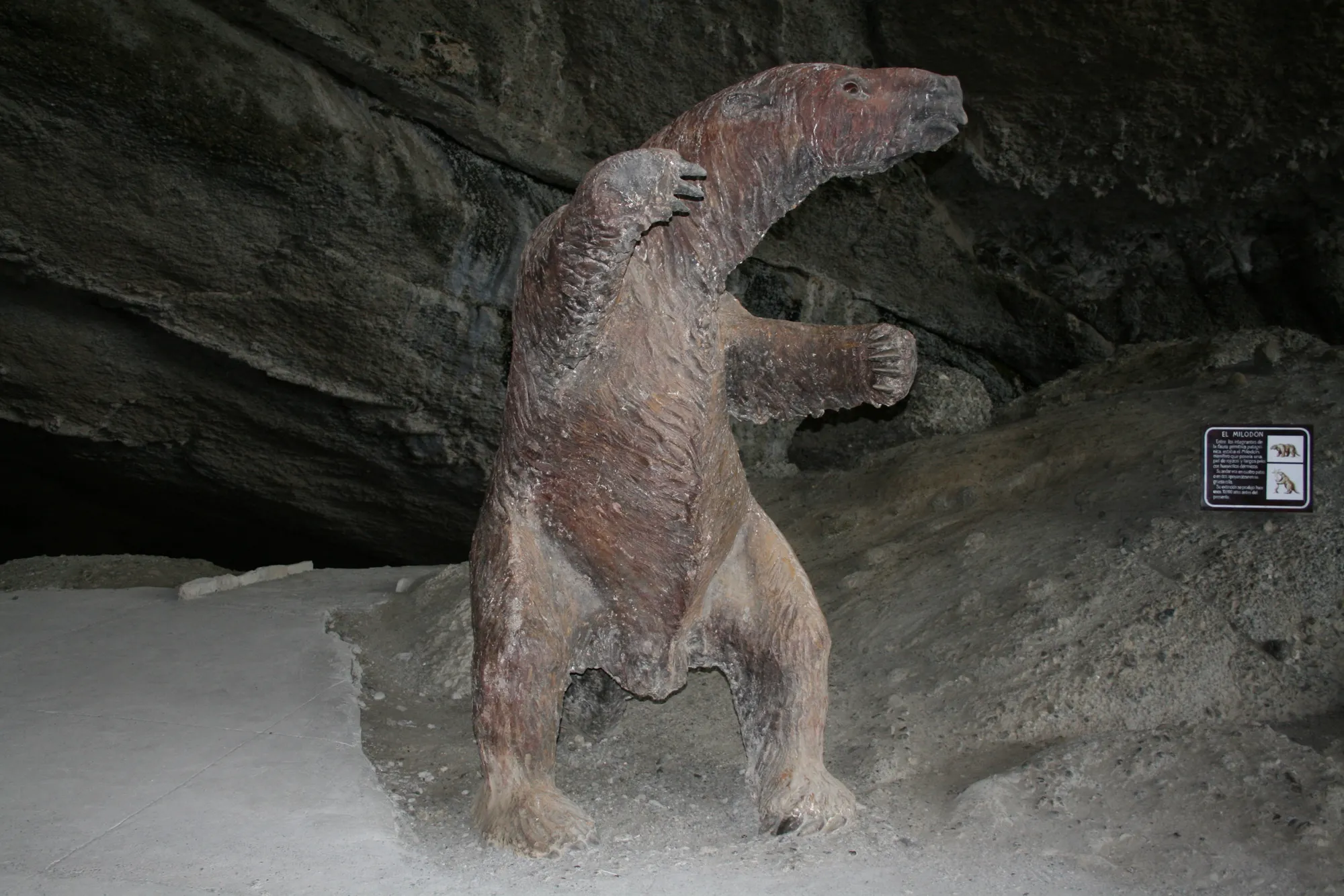 The interior of Cueva del Milodón, Chile, the cave where Mylodon ground-sloth remains were found